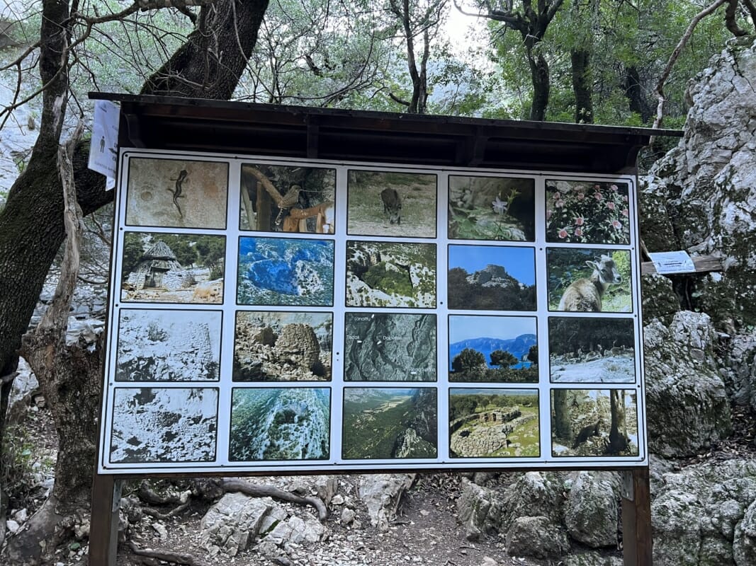 Infografica all'ingresso del sito di Tiscali
