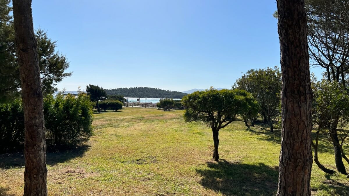 Alberi Cala Brandichi con vista mare