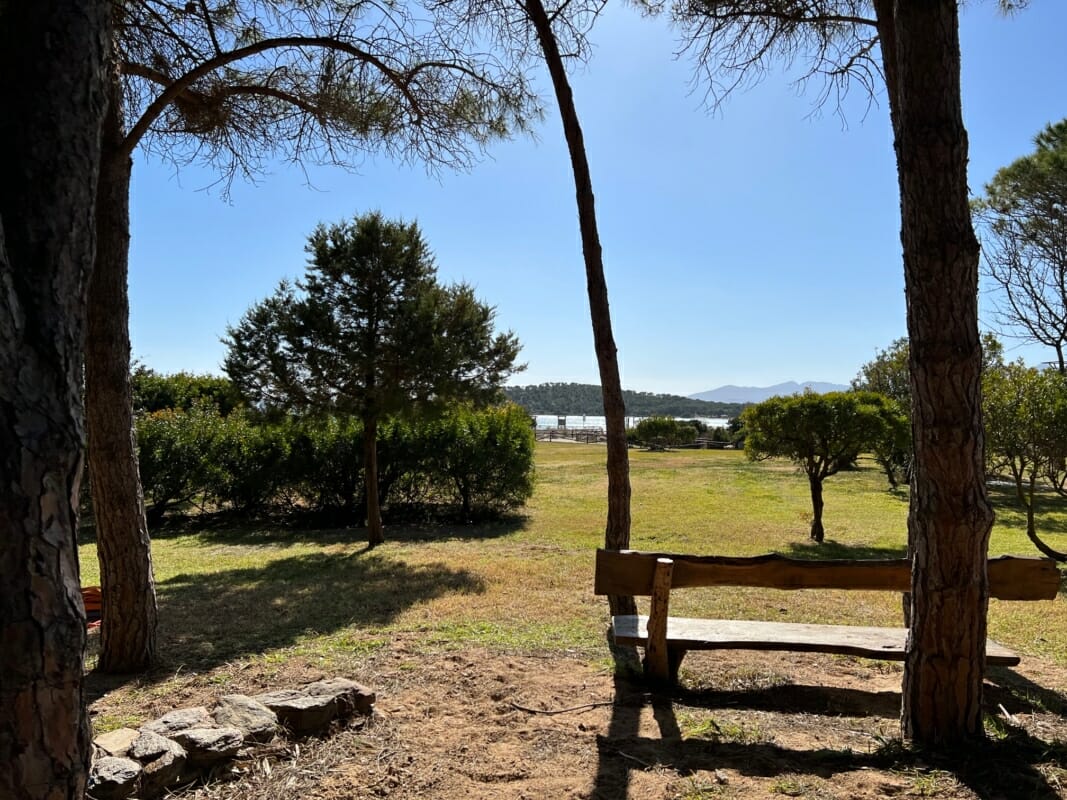 Area attrezzata pineta Cala Brandinchi