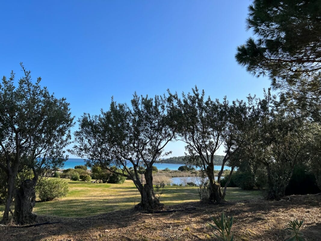 Giardini dietro Spiaggia Cala Brandinchi