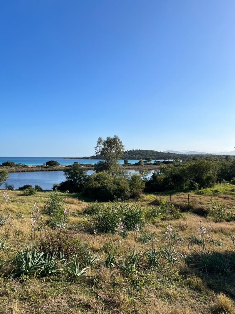 Stagno di Cala Brandinchi