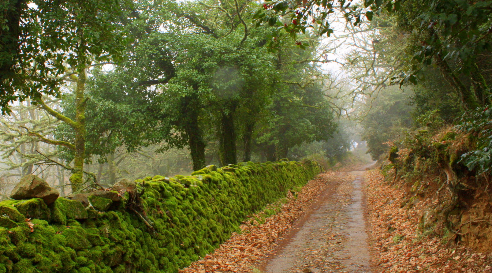 Autumn in Sardinia
