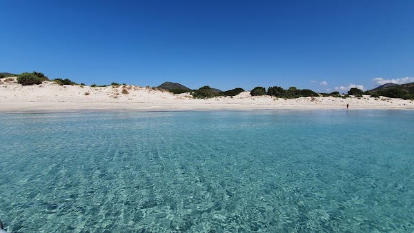 Cala Saffron