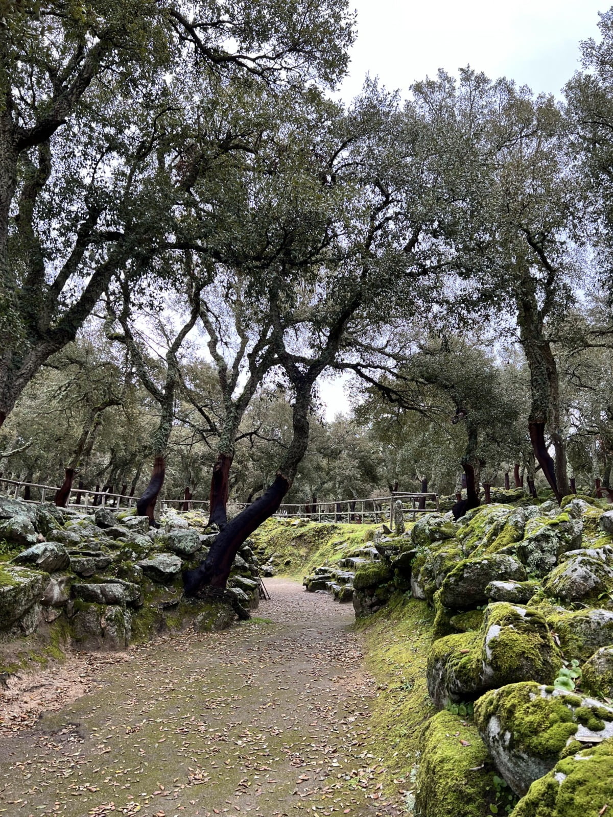 Camminamento da sorgente ad anfiteatro Romanzesu