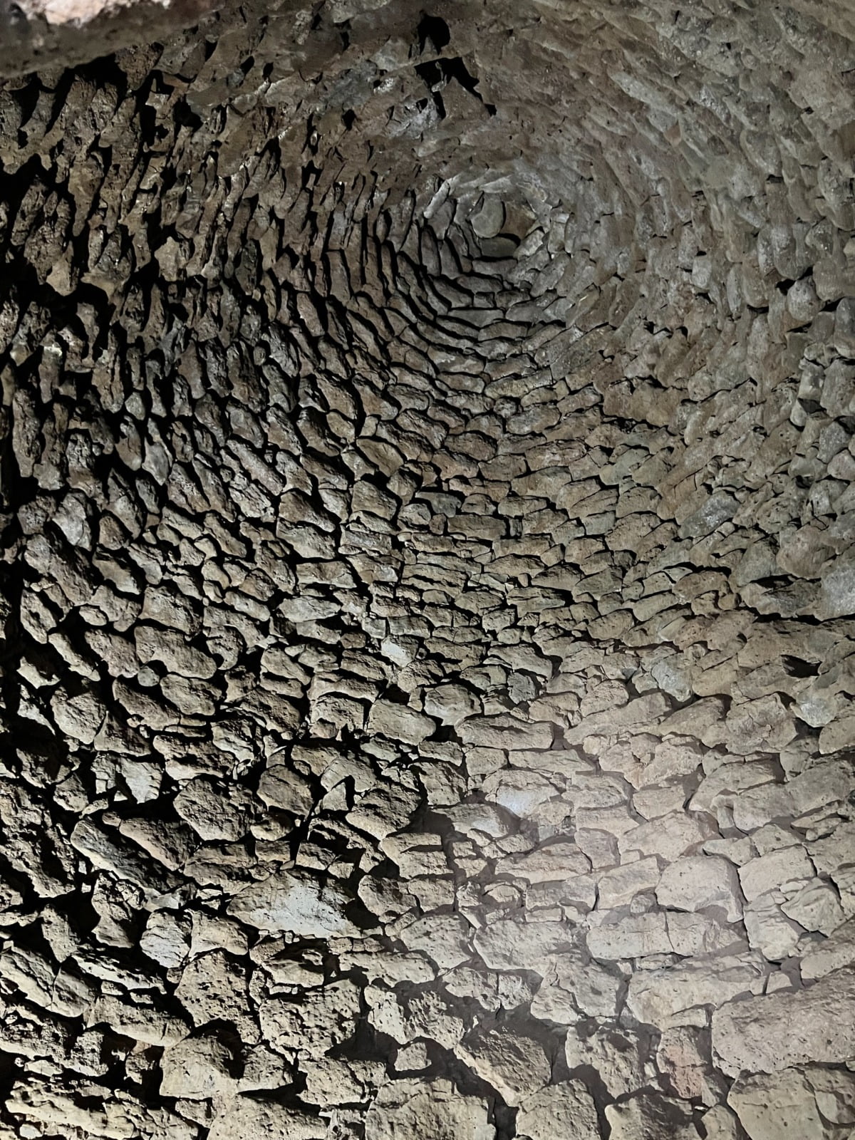 Costruzione Tetto Nuraghe Arrubiu