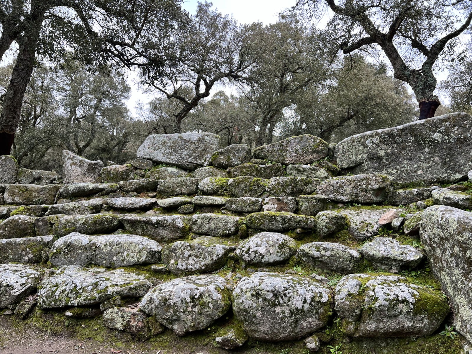 Gradoni anfiteatro Romanzesu