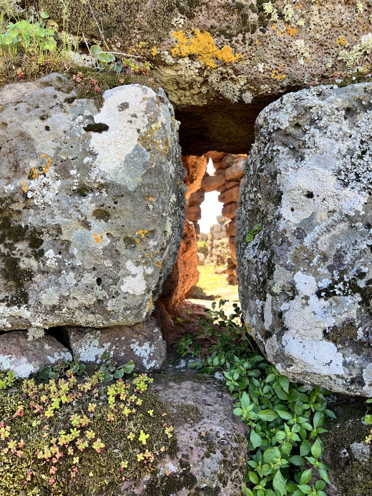 Mura Nuraghe Arrubiu