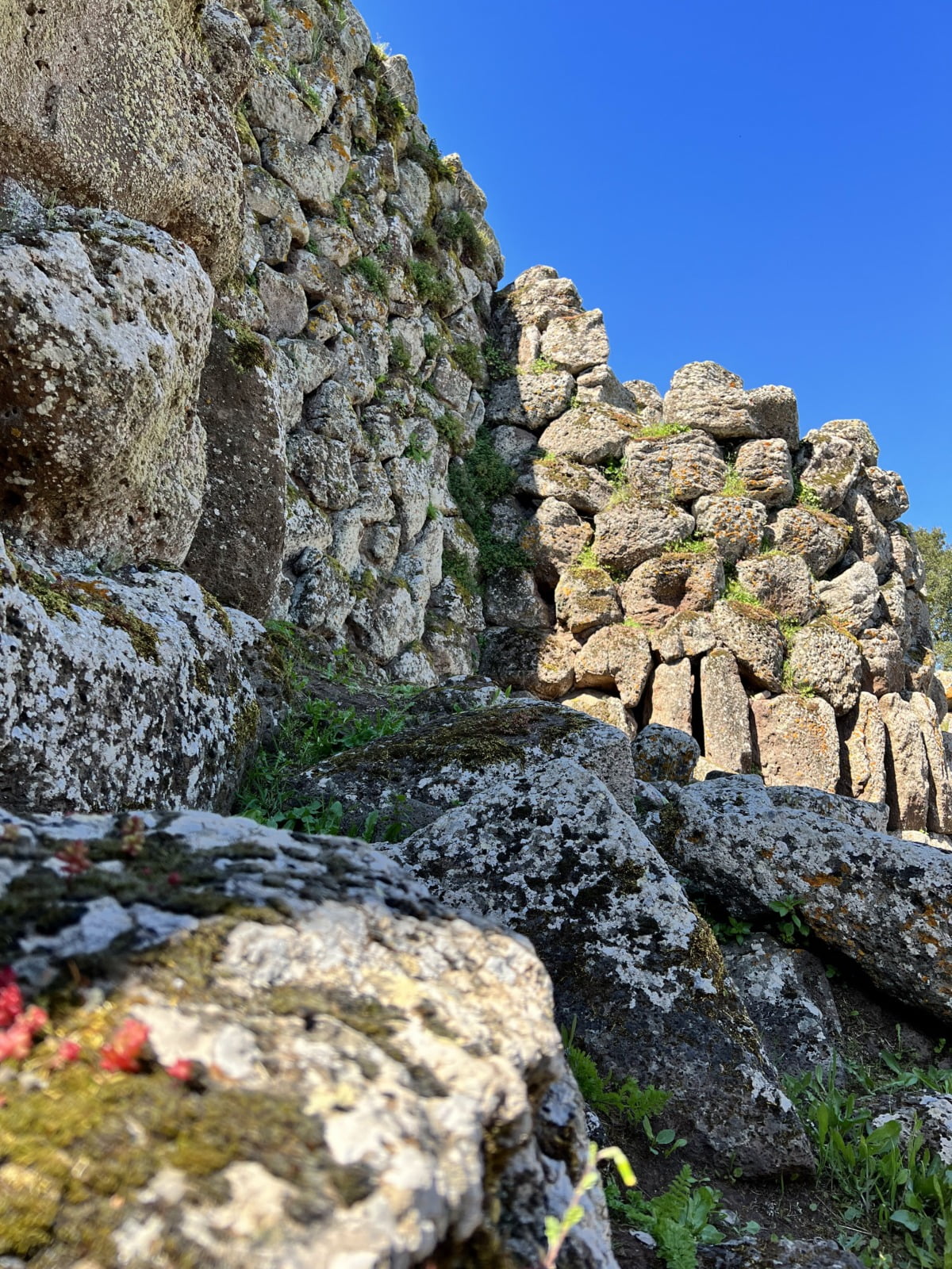 Nuraghe Arrubiu dettagli ovegetazione e rocce