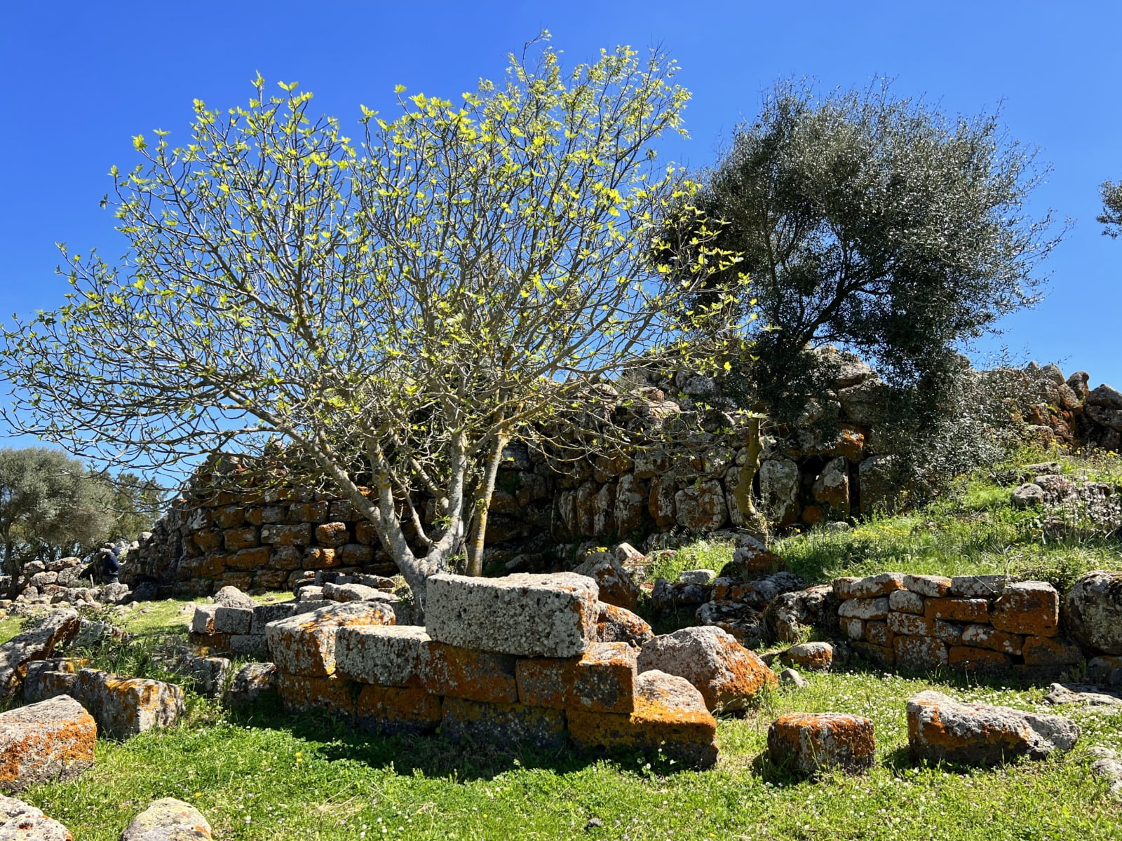Nuraghe Arrubiu licheni rossi e rocce
