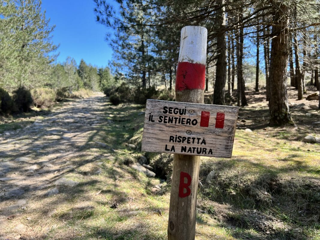 Rispetta La Natura Vallicciola Monte Limbara