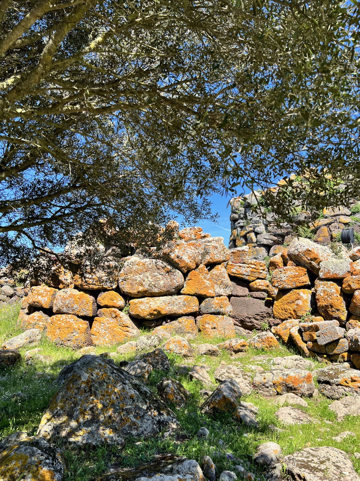 Rocce Licheni Vegetazione Nuraghe Arrubiu