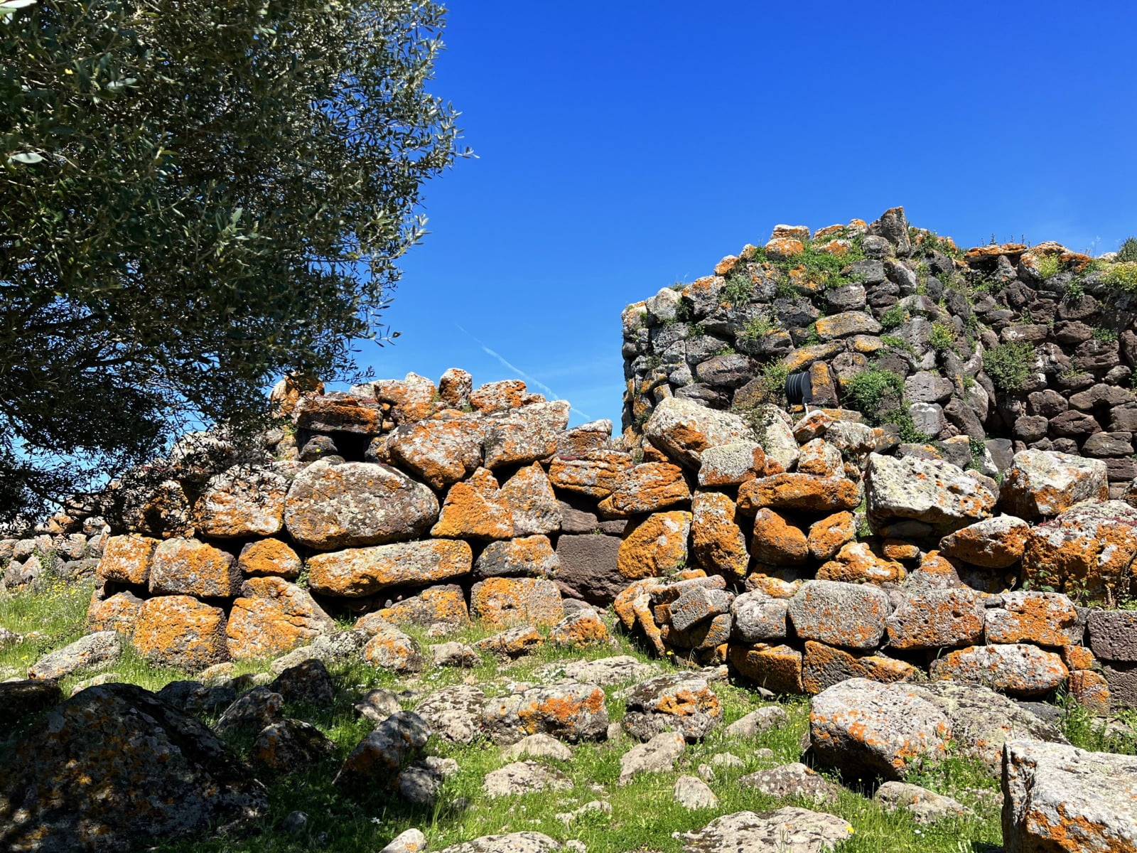 Rocce Nuraghe Arrubiu con Licheni
