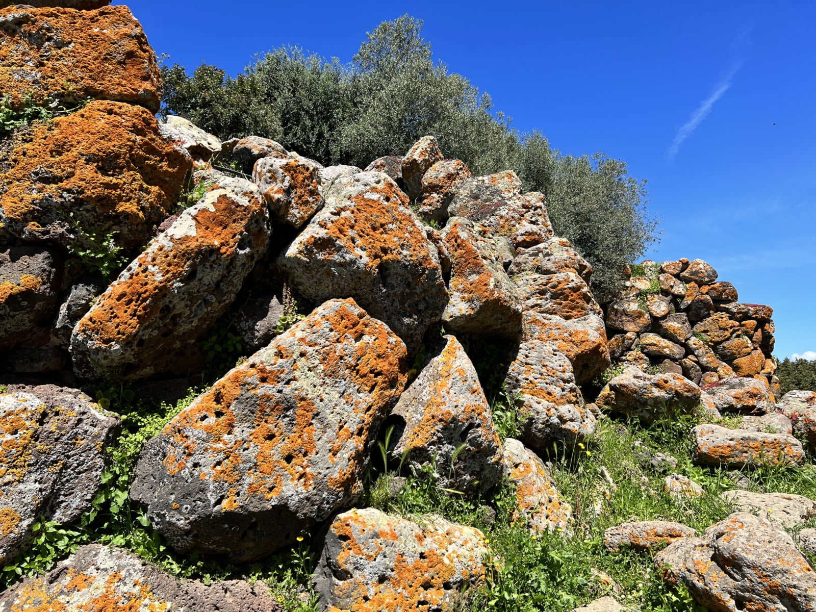 Rocce con Licheni Nuraghe Arrubiu
