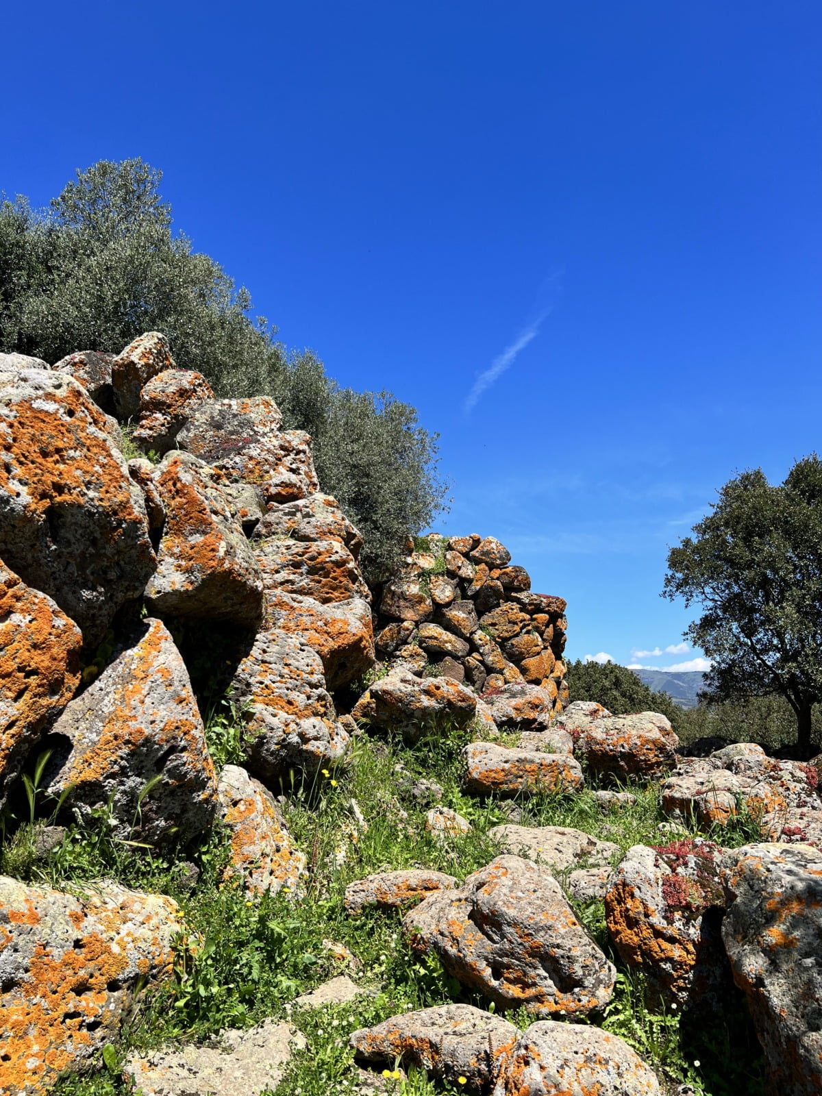 Rocce e licheni Nuraghe Arrubiu