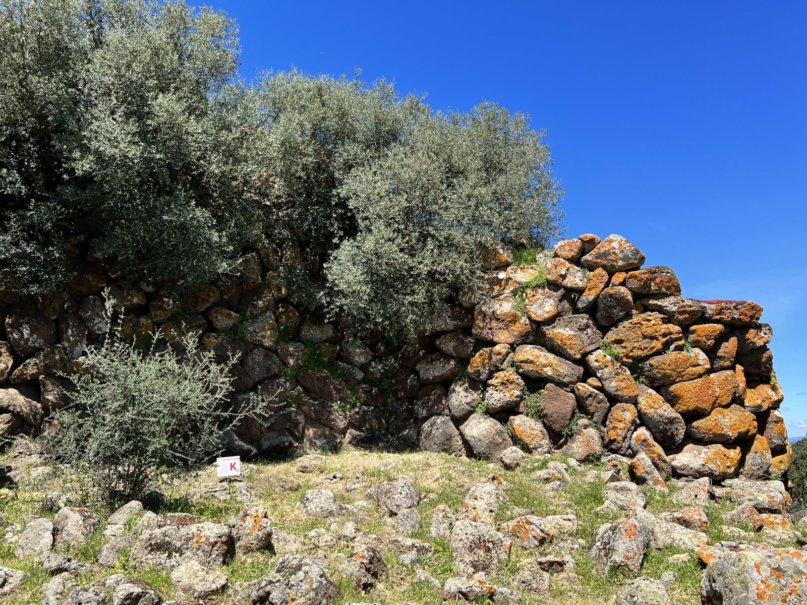 Rocce nuraghe Arrubiu con licheni e olivastro
