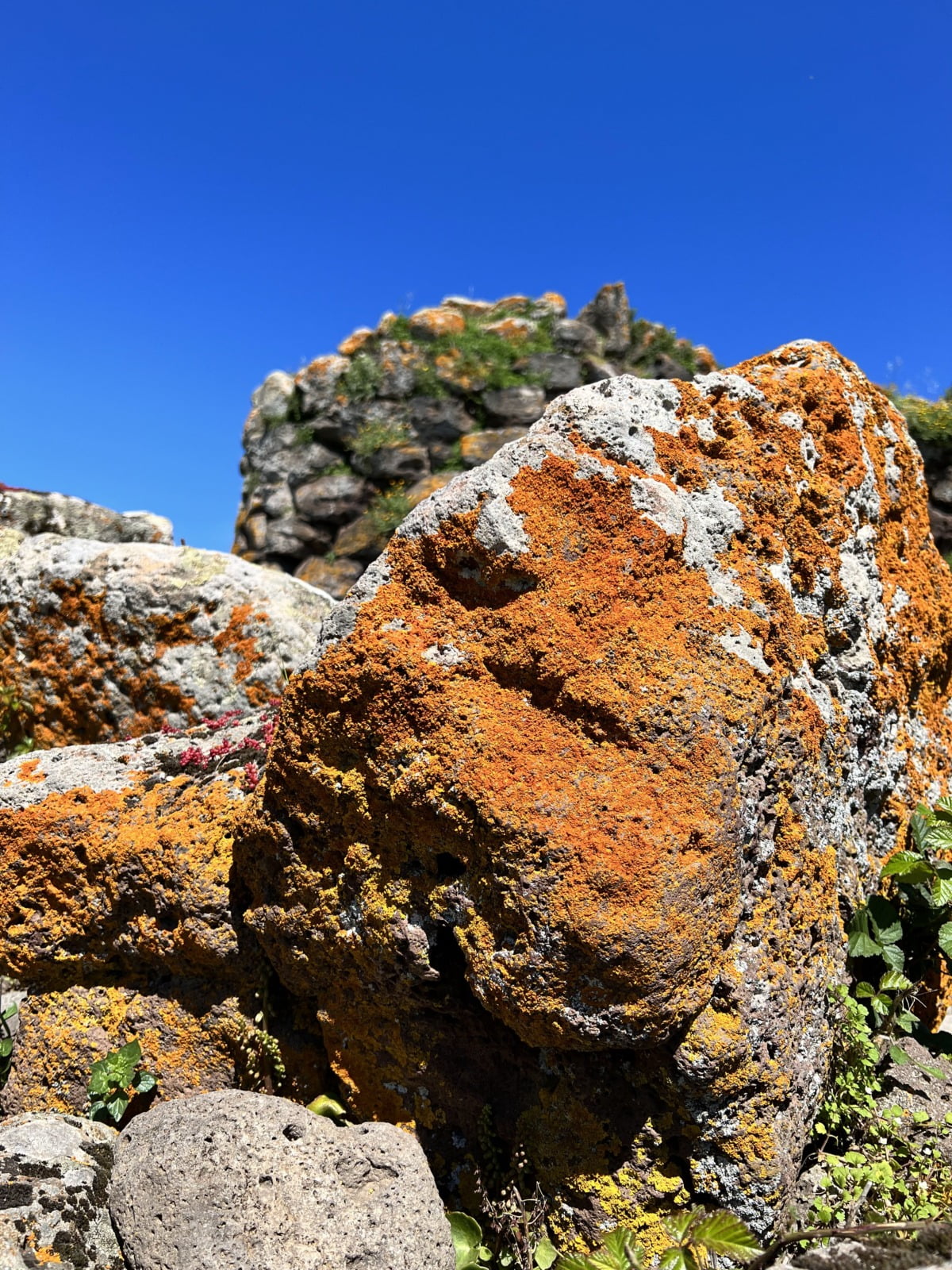 Roccia con licheni Nuraghe Arrubiu