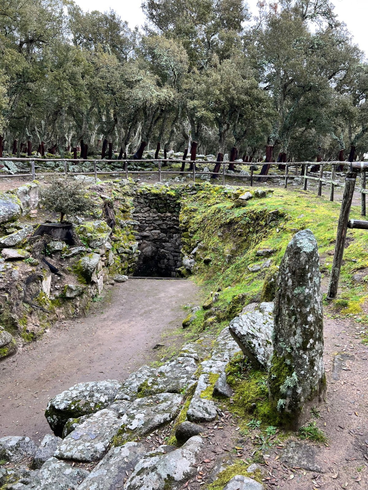 Romanzesu Bettile E Pozzo Sacro