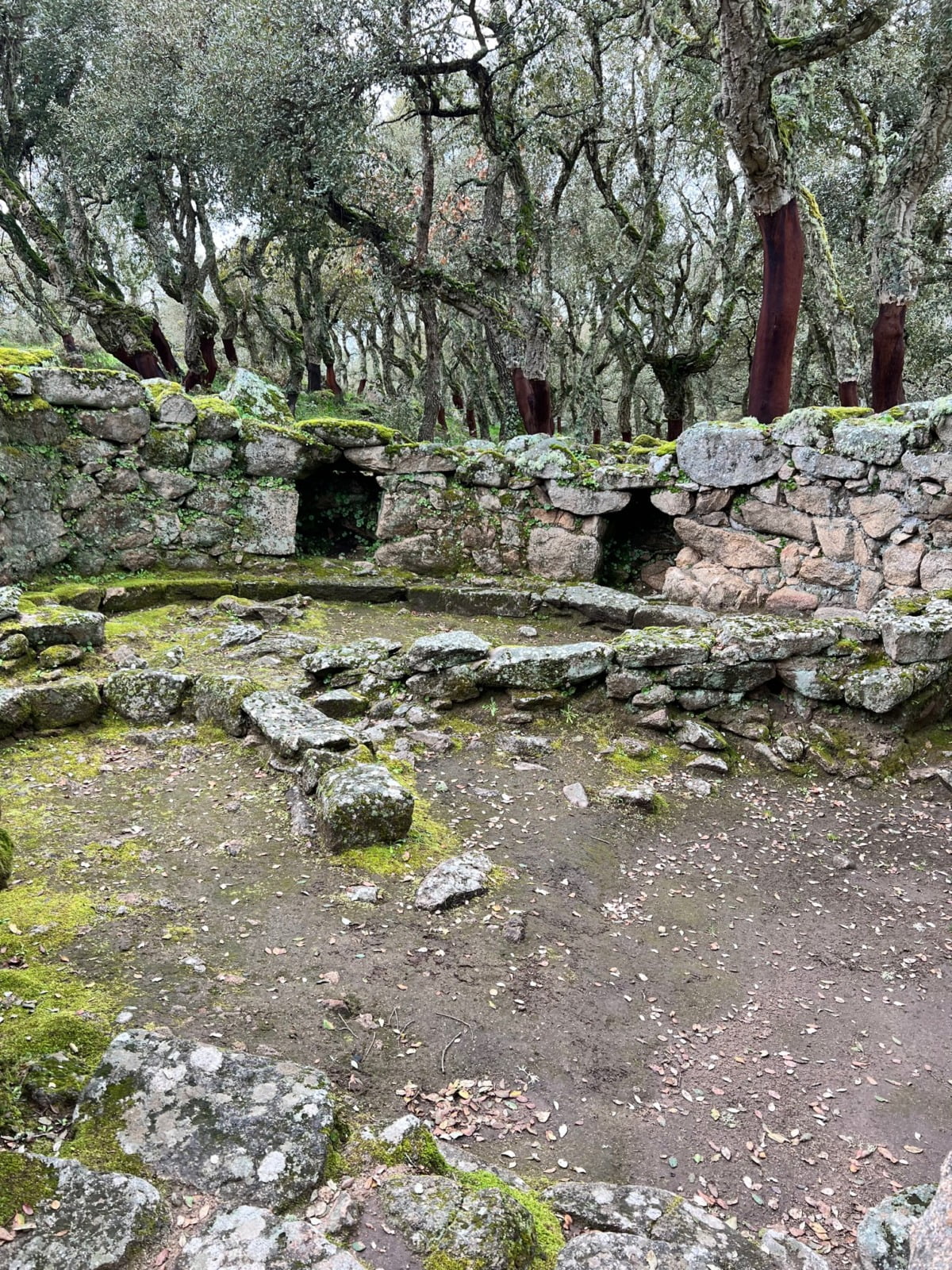 Romanzesu Capanna Con Muri Divisori Interni