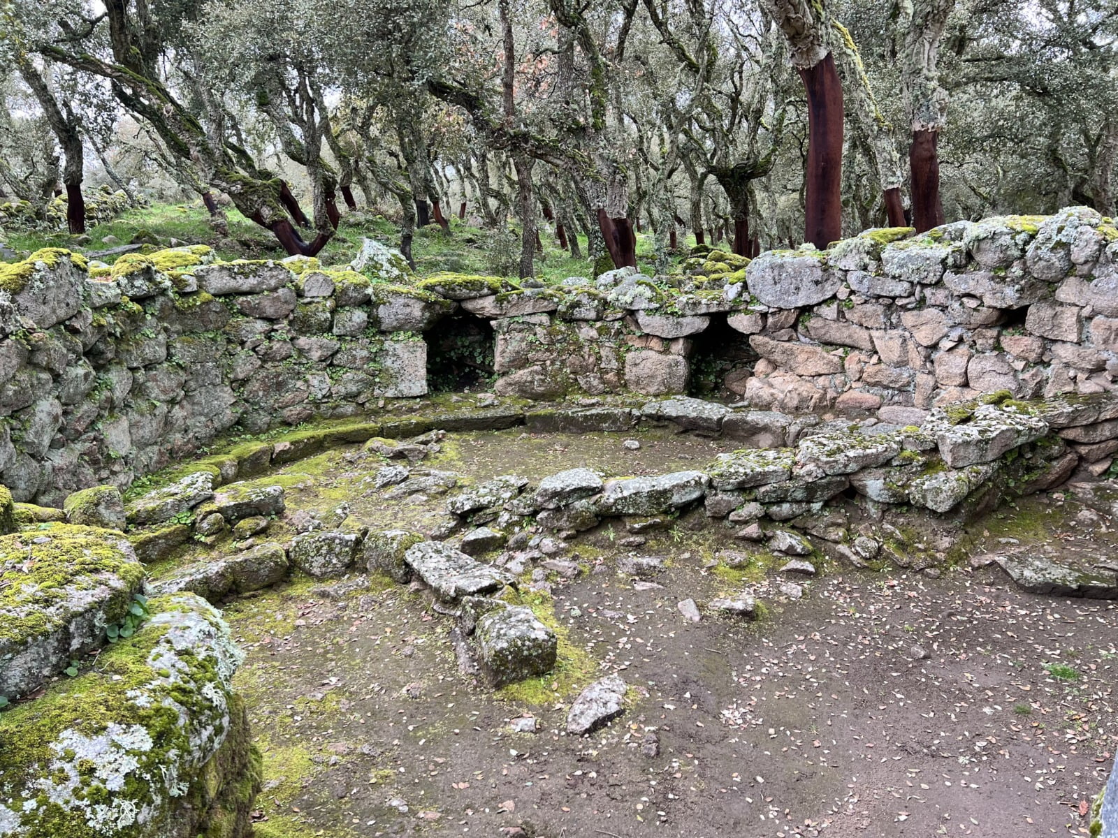 Romanzesu Capanna e Muri Divisori Interni