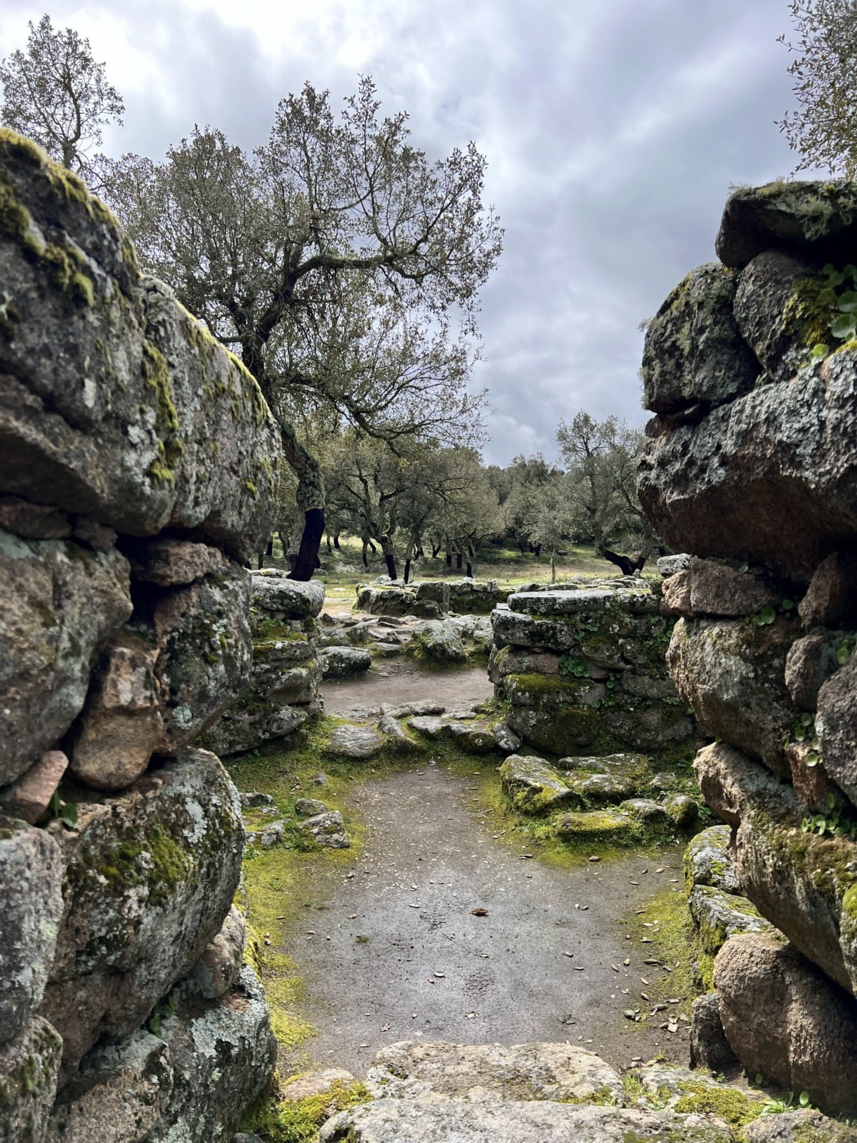 Romanzesu Interno Di Tempio Megaron