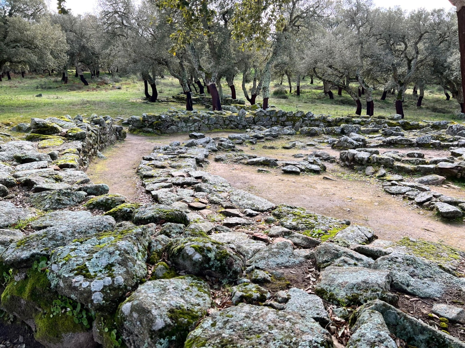 Romanzesu Labirinto