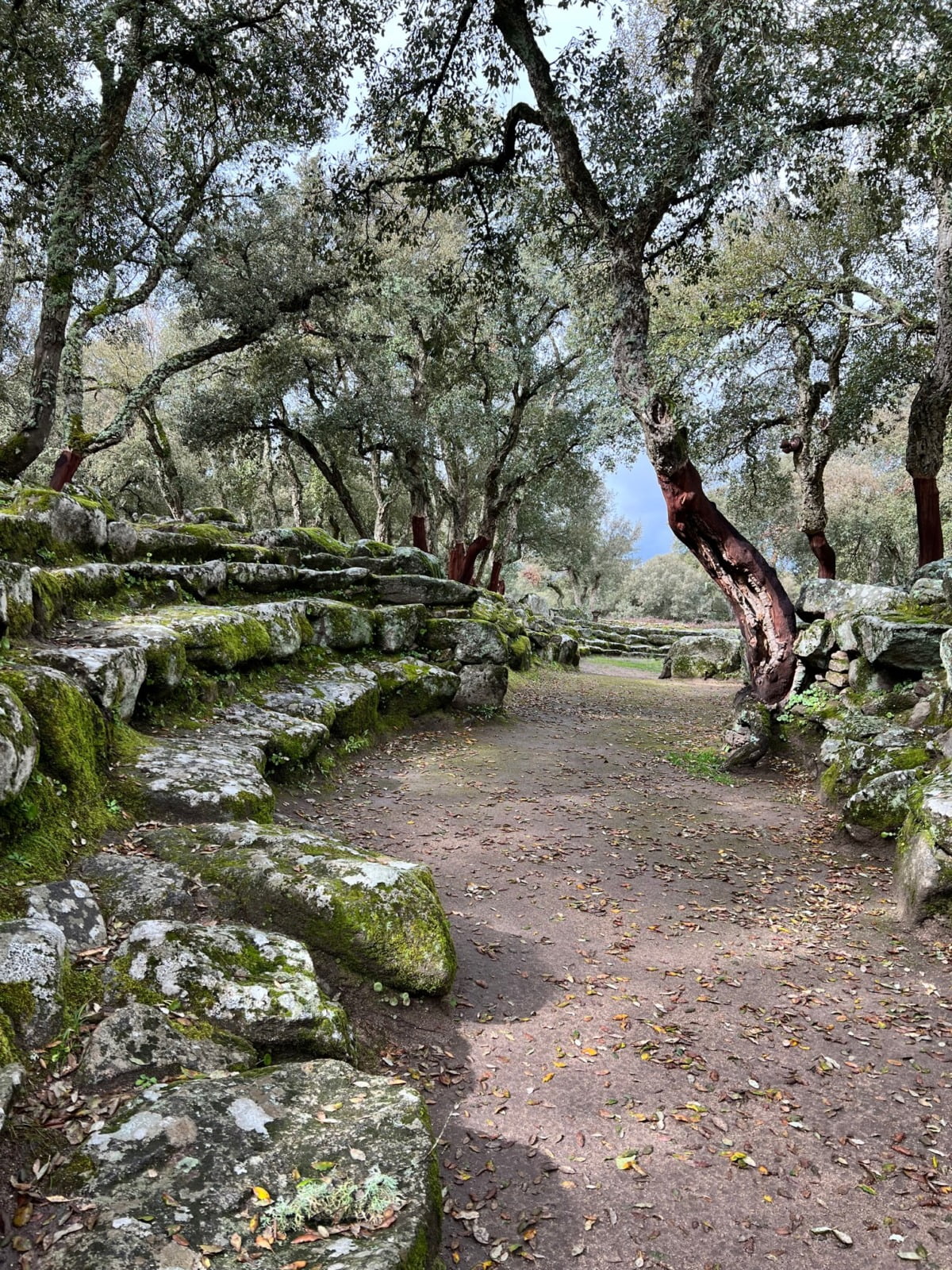 Romanzesu Via Sorgente Anfiteatro