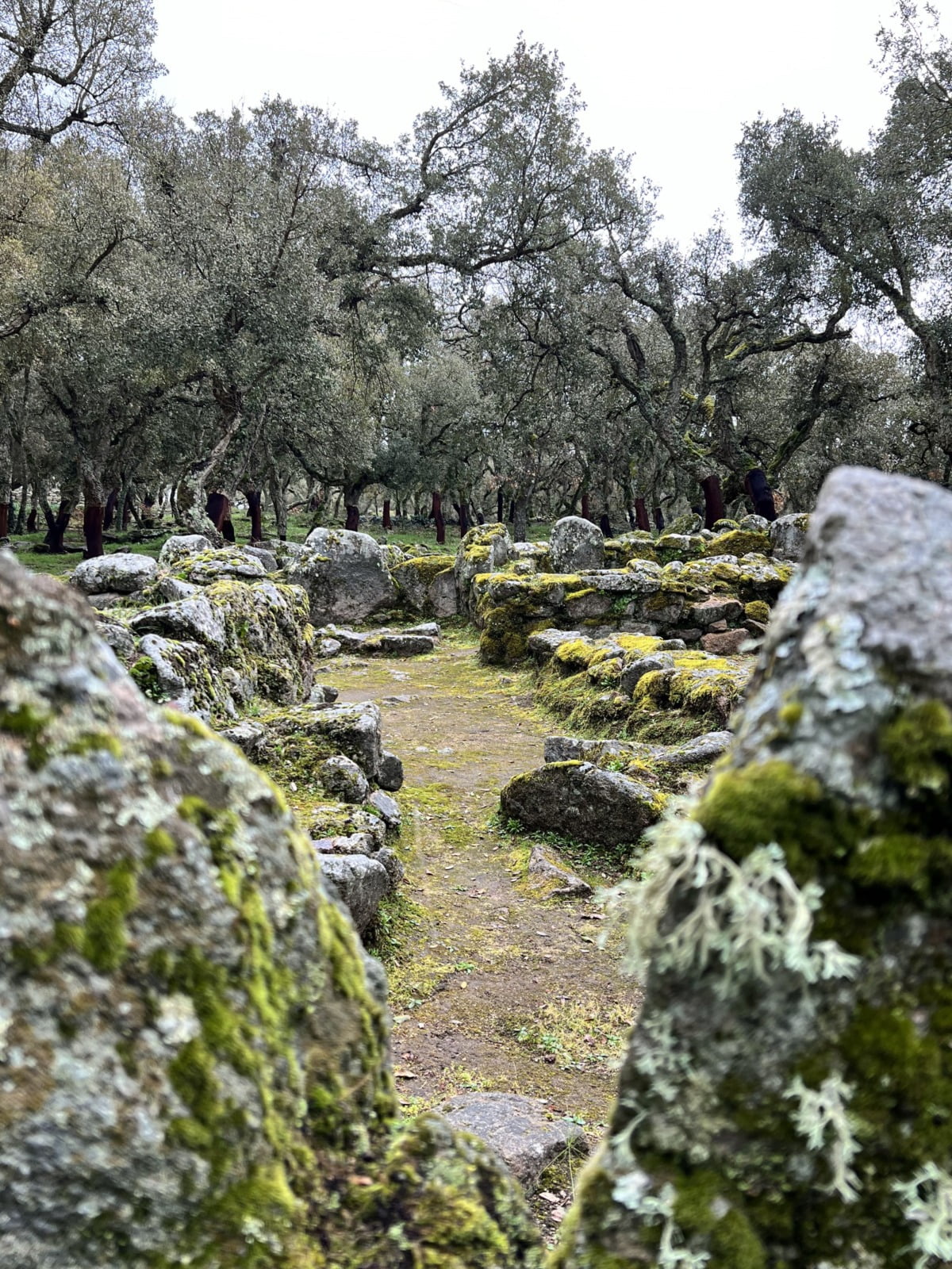 Romanzesu Villaggio Santuario Nuragico Bitti