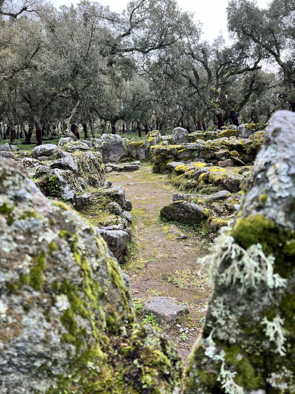 Sito Archeologico Romanzesu
