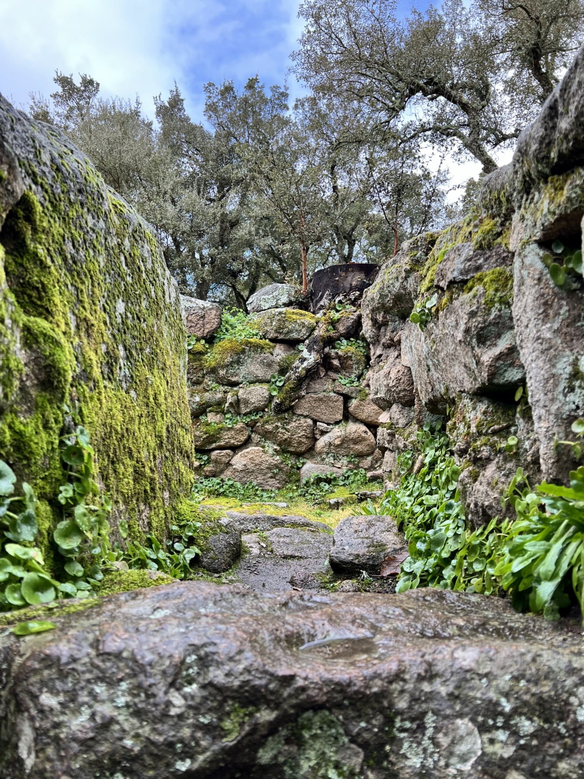 Sito Archeologio Romanzesu