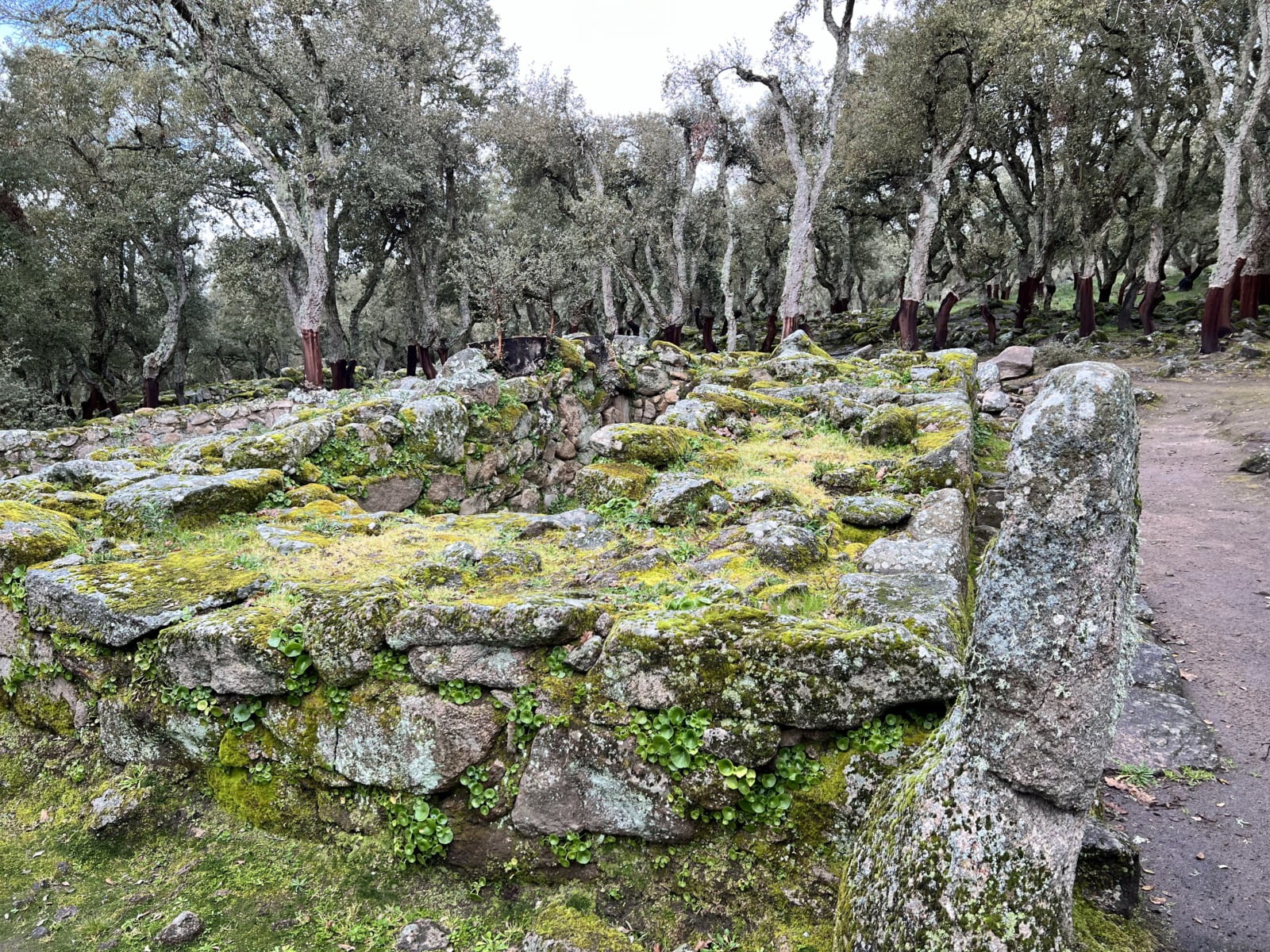 Sito archeologico Romanzesu