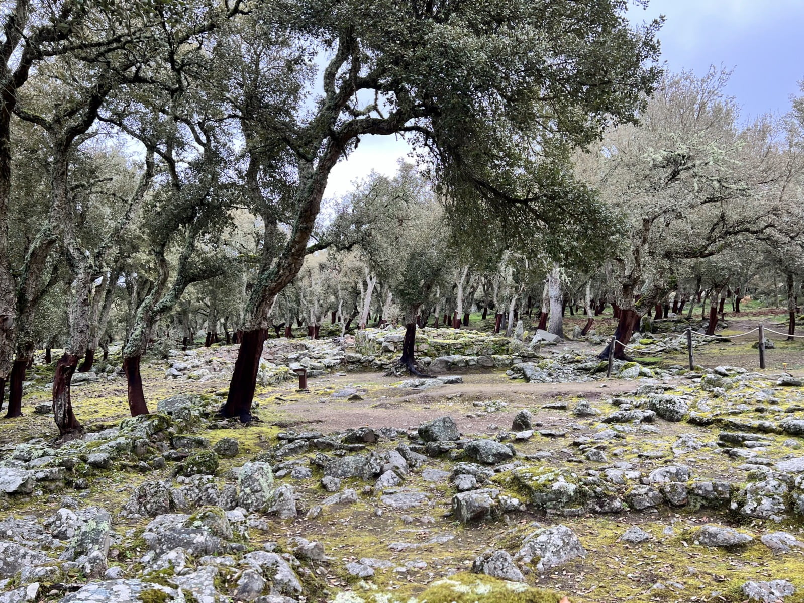 Sito archeologico con Sughere Romanzesu