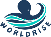 Worldrise, avvistamento delfini